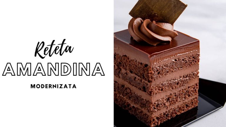 Ebook Amandina modernizată